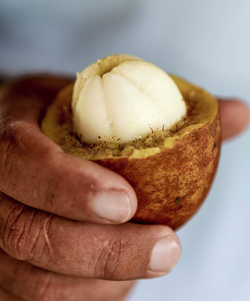 Au Naturel Whipped Cupuaçu Body Butter, 5oz Angie Watts