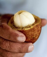 black woman holding cupuaçu plant